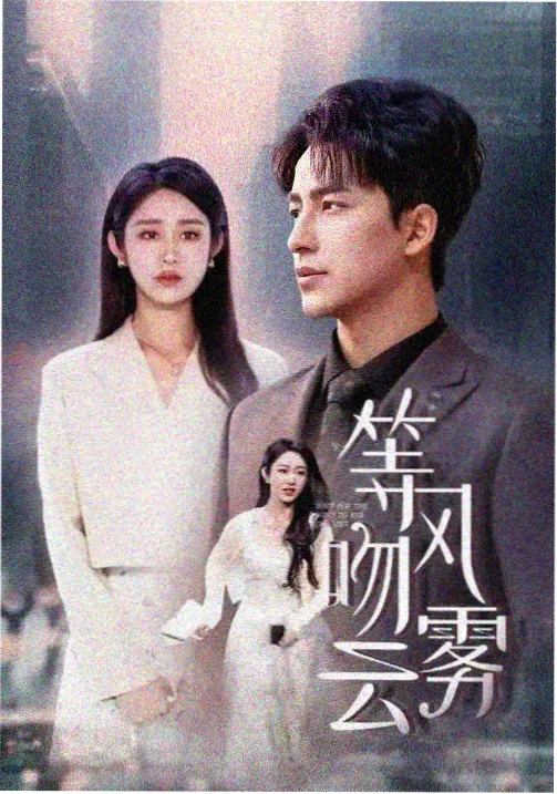 婚姻的真相 电视剧
